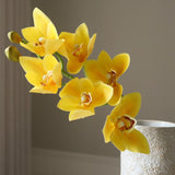 Yellow Cymbidium Orchid Flower