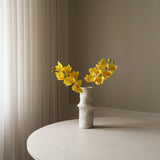 Yellow Cymbidium Orchid Flower
