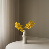 Yellow Cymbidium Orchid Flower