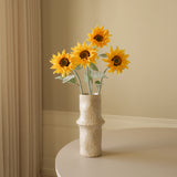 Yellow Pacino Sunflower