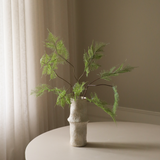 Green Fern Leaves