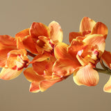 Orange Cymbidium Orchid Flower