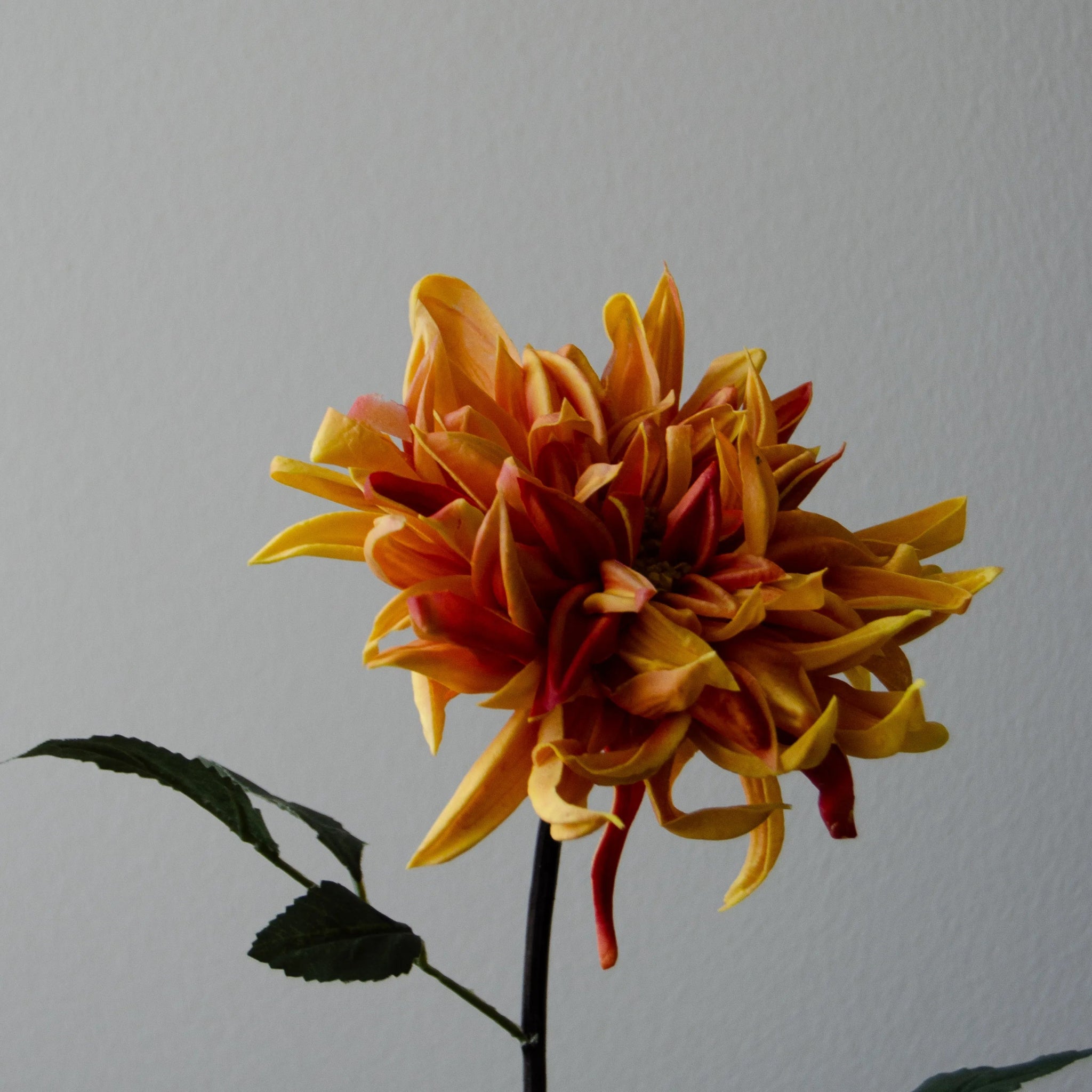 Artificial Cactus Dahlia Flower from Botané