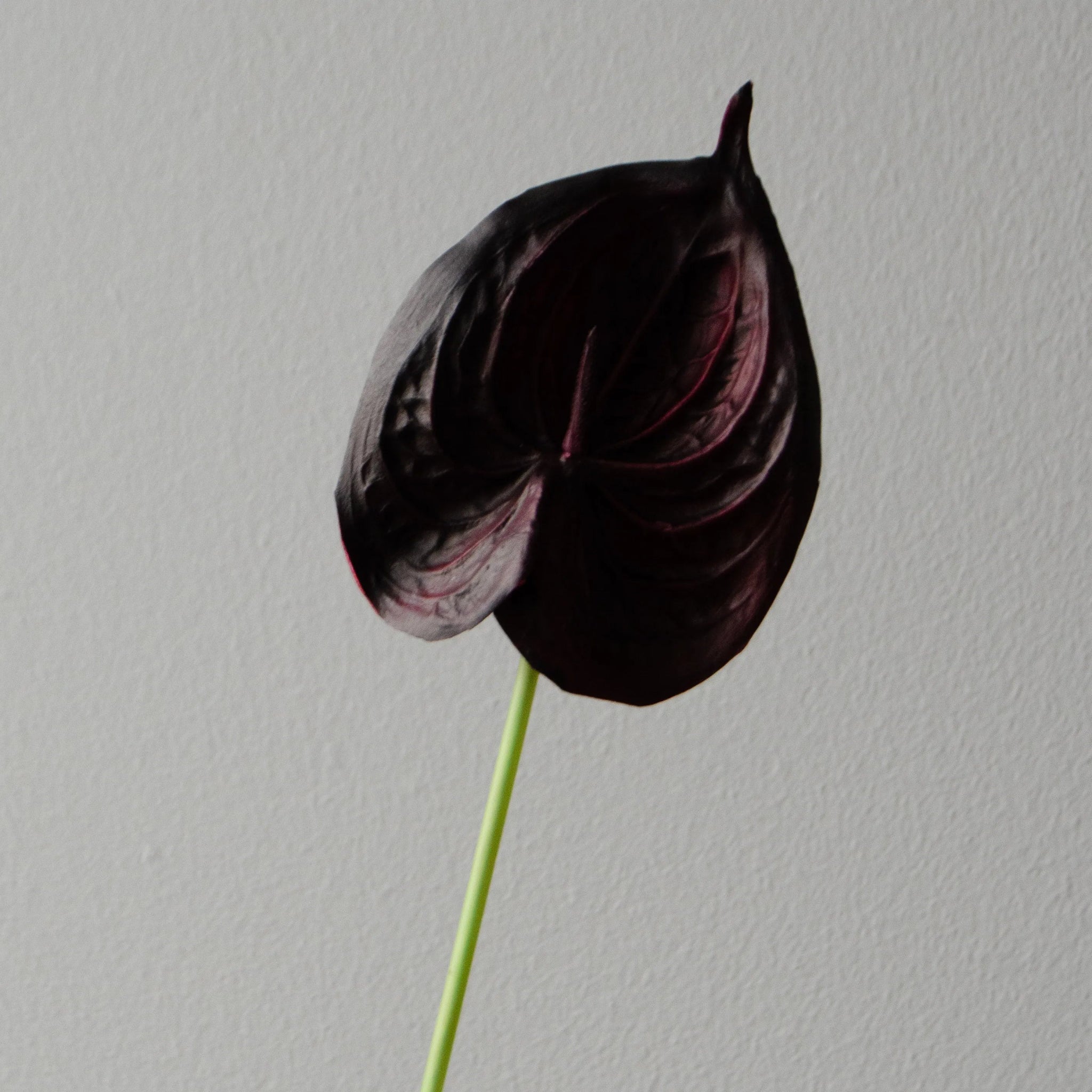 Artificial Small Anthurium Flower from Botané