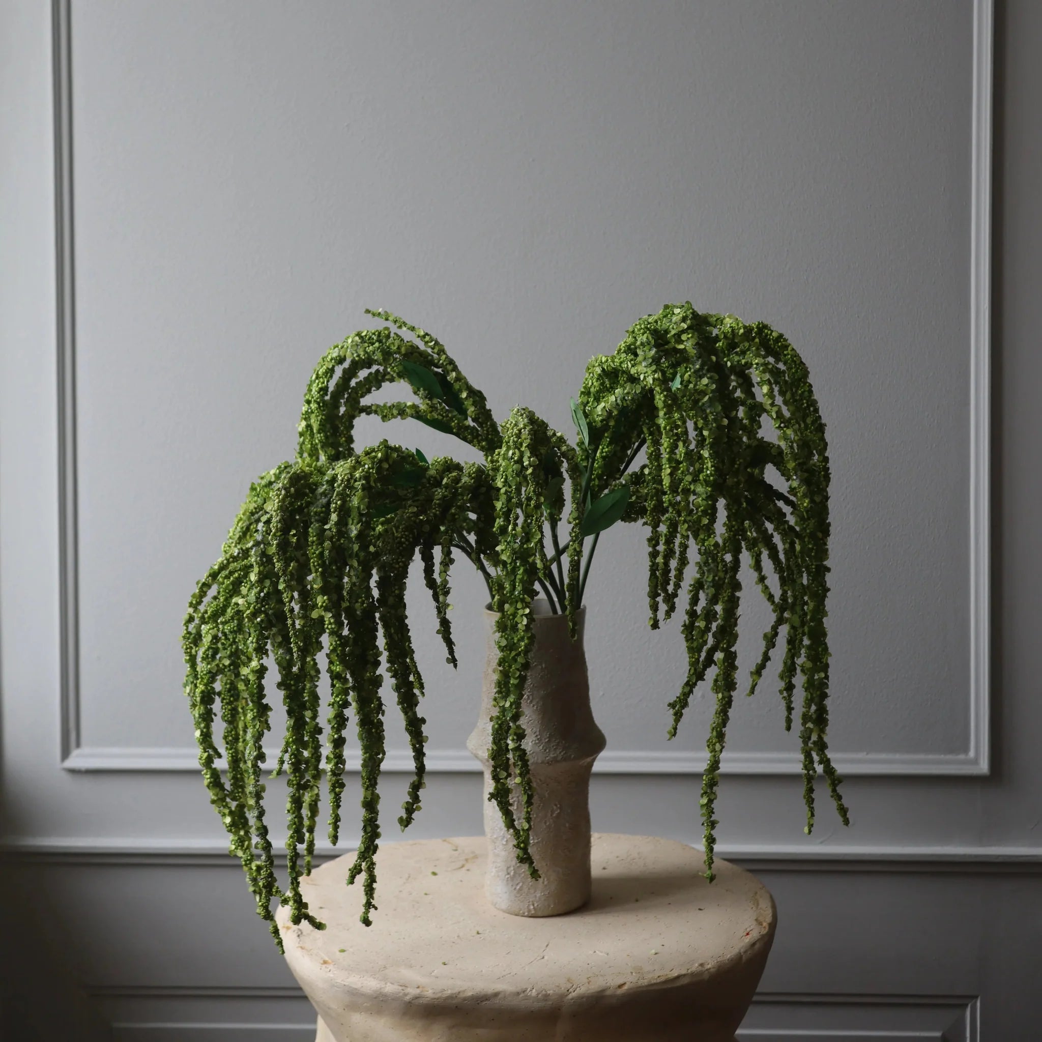 New Arrivals – Botané