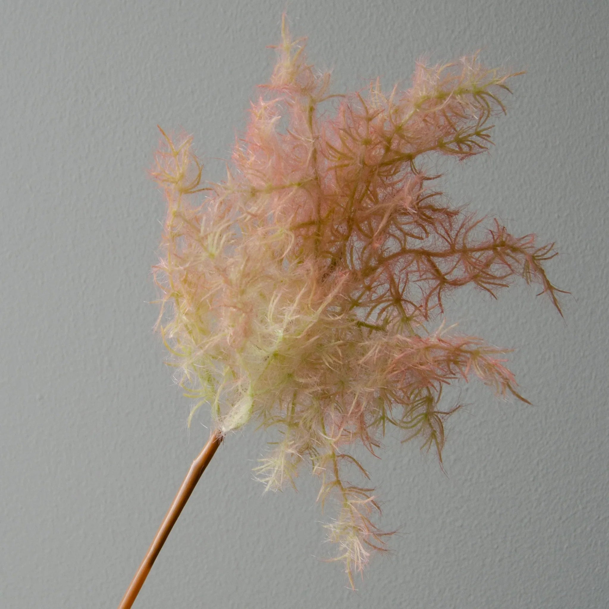 Artificial Cotinus Coggygria Young Lady Flower from Botané