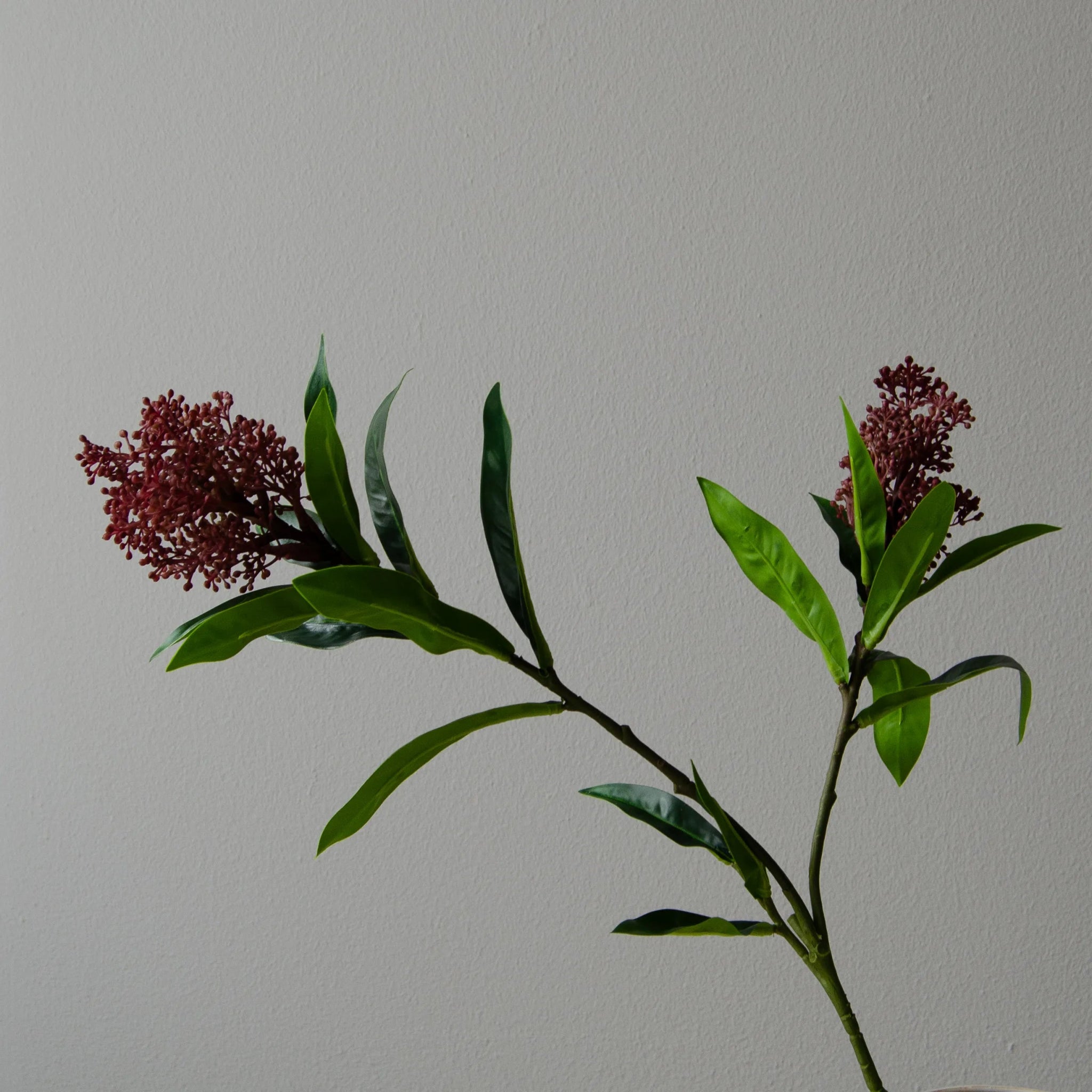 Artificial Skimmia Berry Branch from Botané