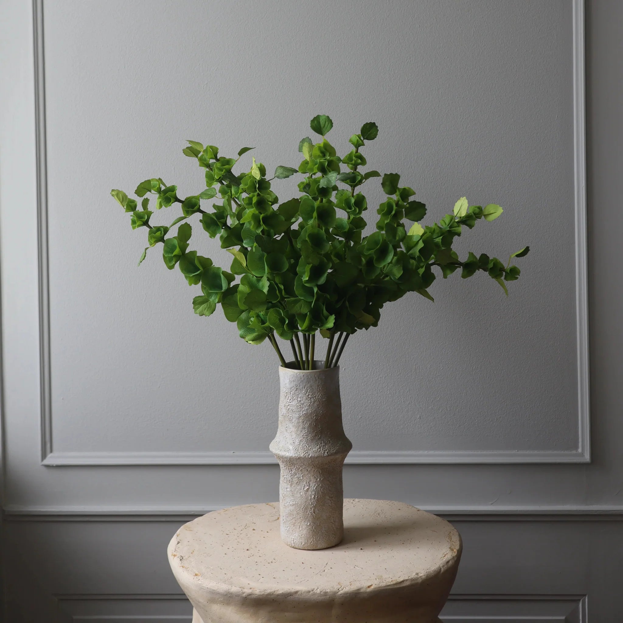 New Arrivals – Botané