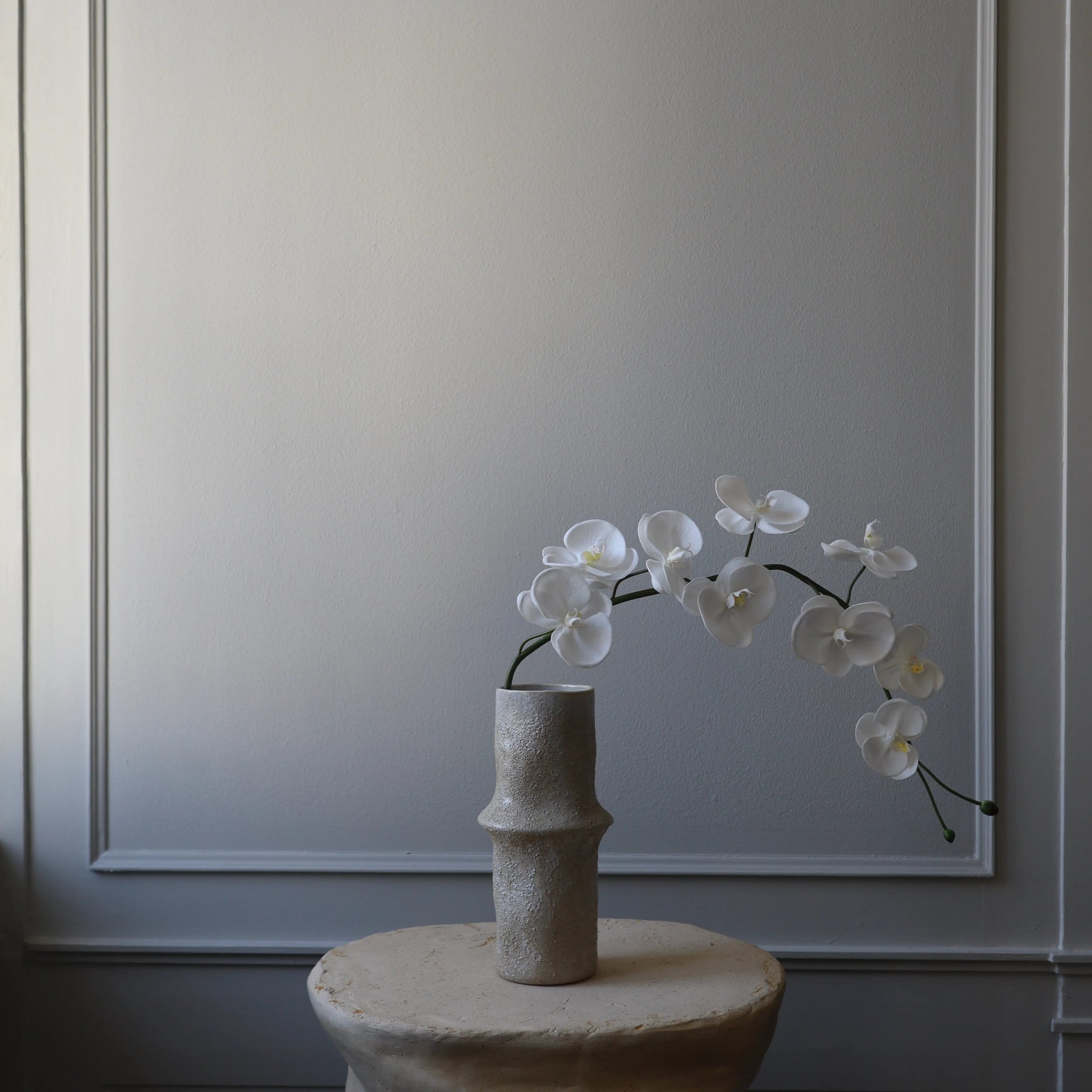 New Arrivals – Botané