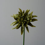 Artificial Cactus Dahlia Flower from Botané