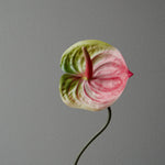 Artificial Anthurium Flower from Botané