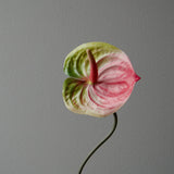 Artificial Anthurium Flower from Botané