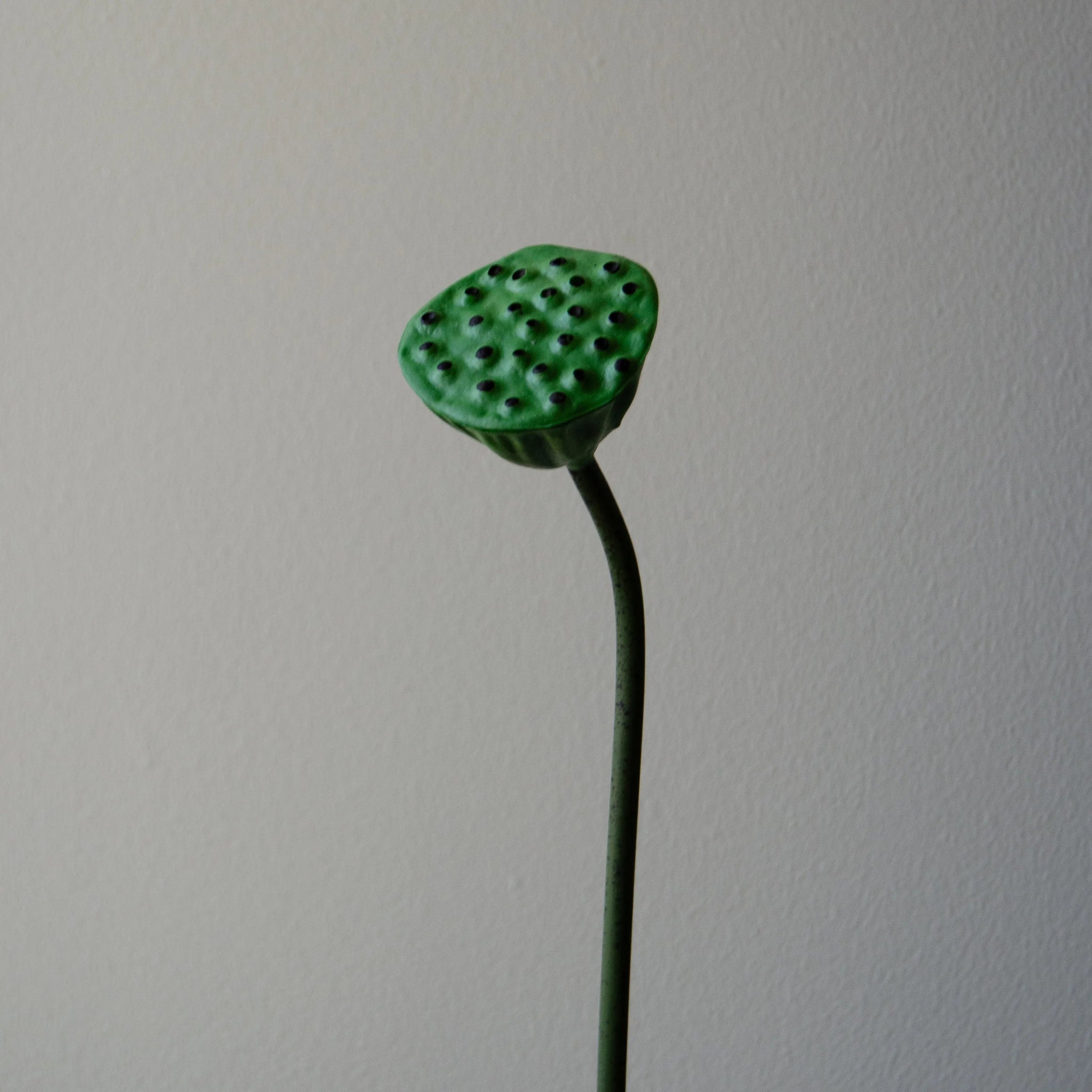 Artificial Lotus Seedpod Flower from Botané