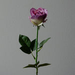 Artificial Premium Longstem Rose from Botané