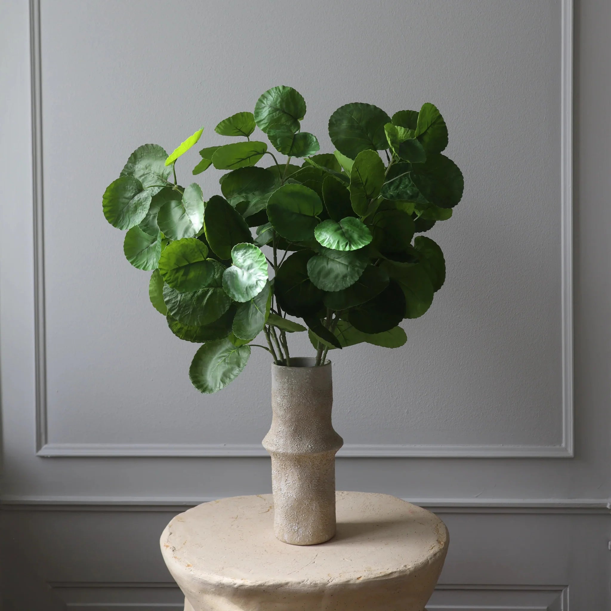 New Arrivals – Botané