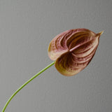 Artificial Small Anthurium Flower from Botané