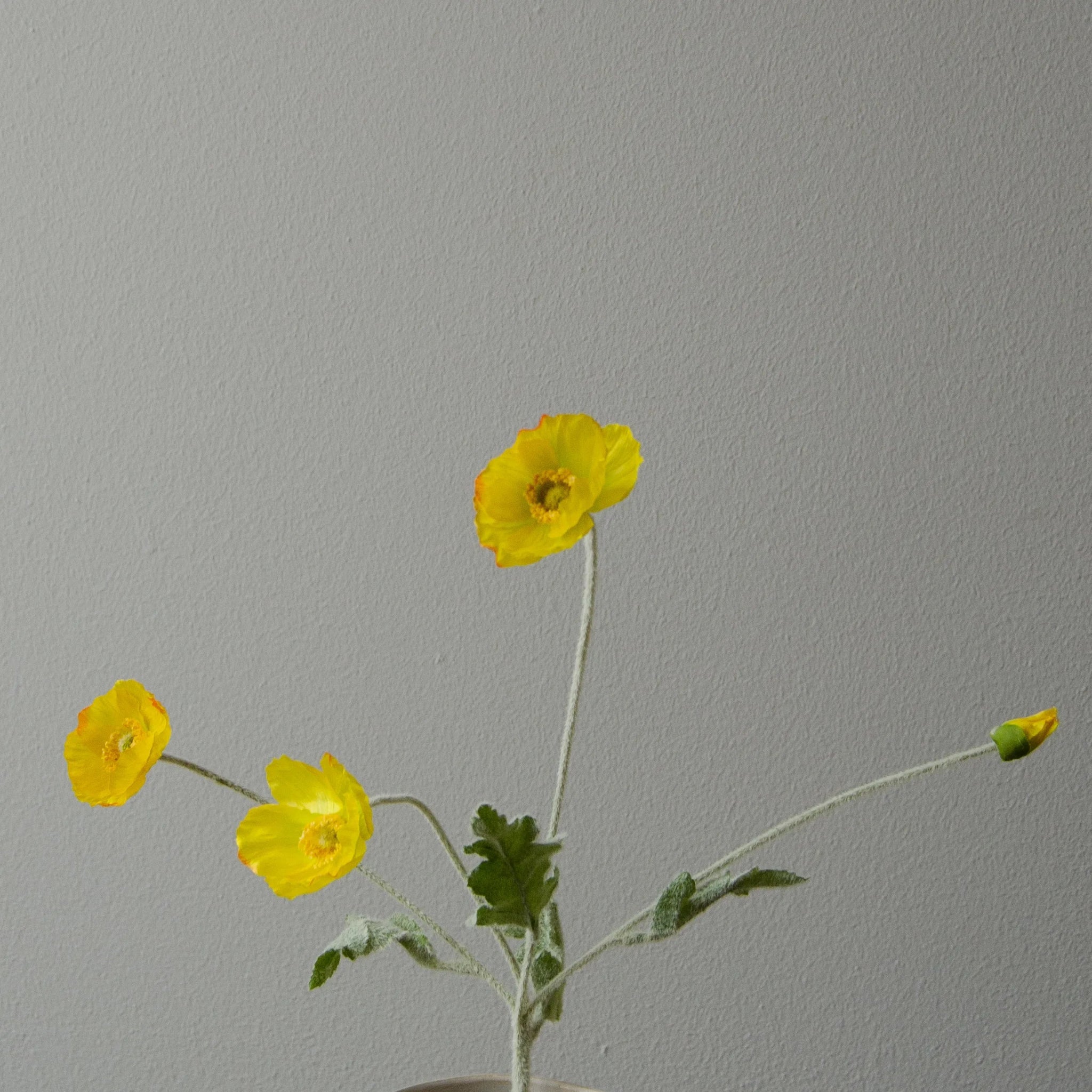 Artificial Poppy Flower from Botané