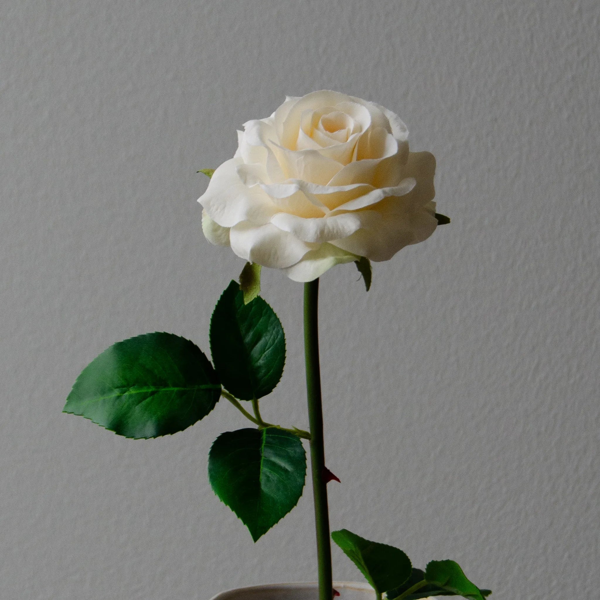 Artificial Medium Stem Garden Rose from Botané