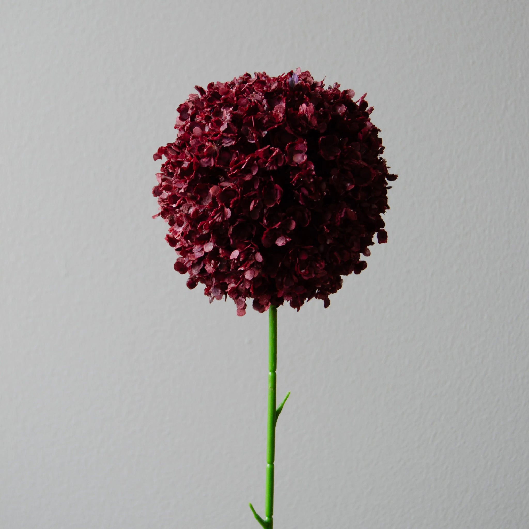 Artificial Allium Giganteum from Botané