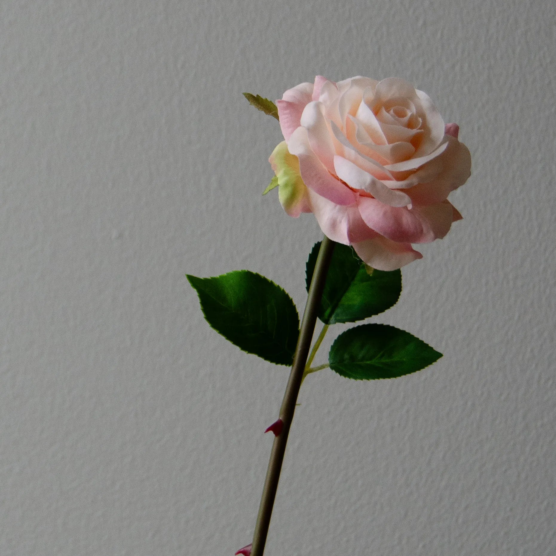 Artificial Medium Stem Garden Rose from Botané