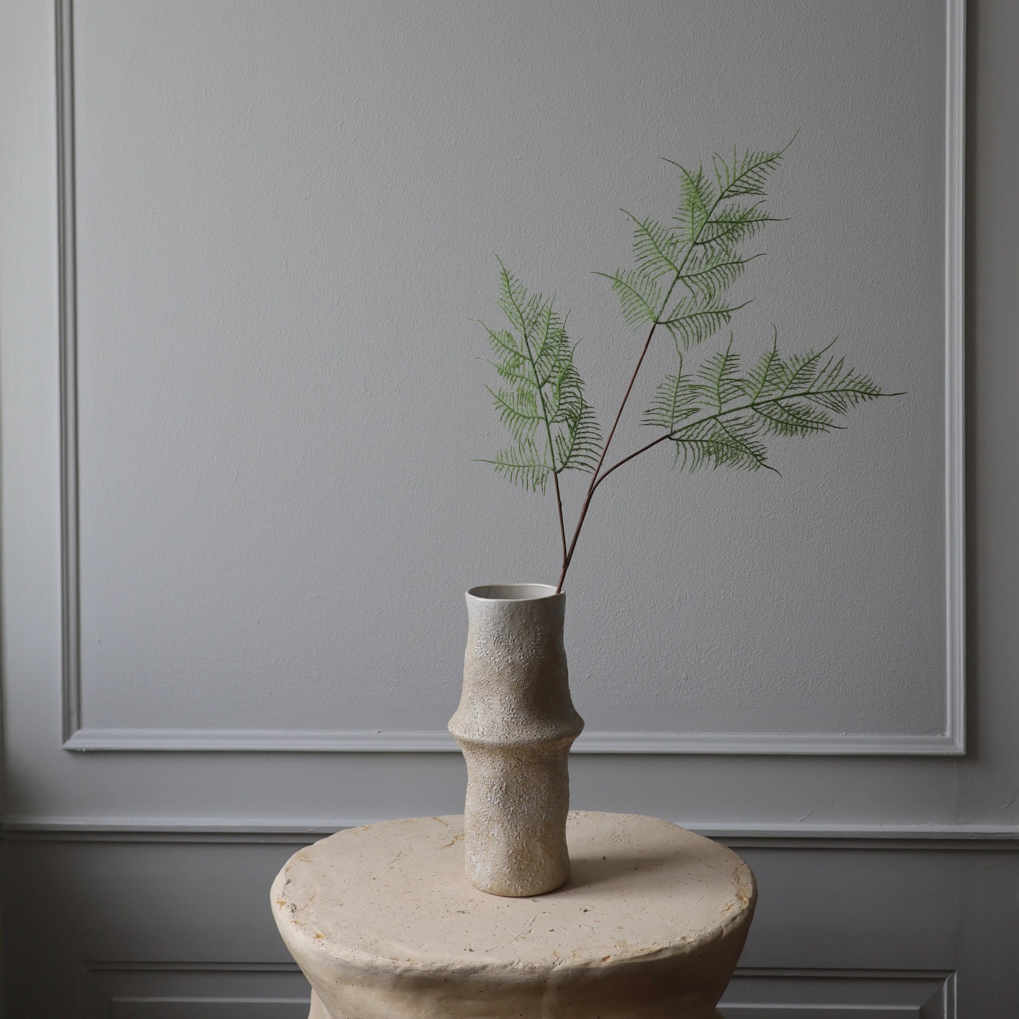 New Arrivals – Botané