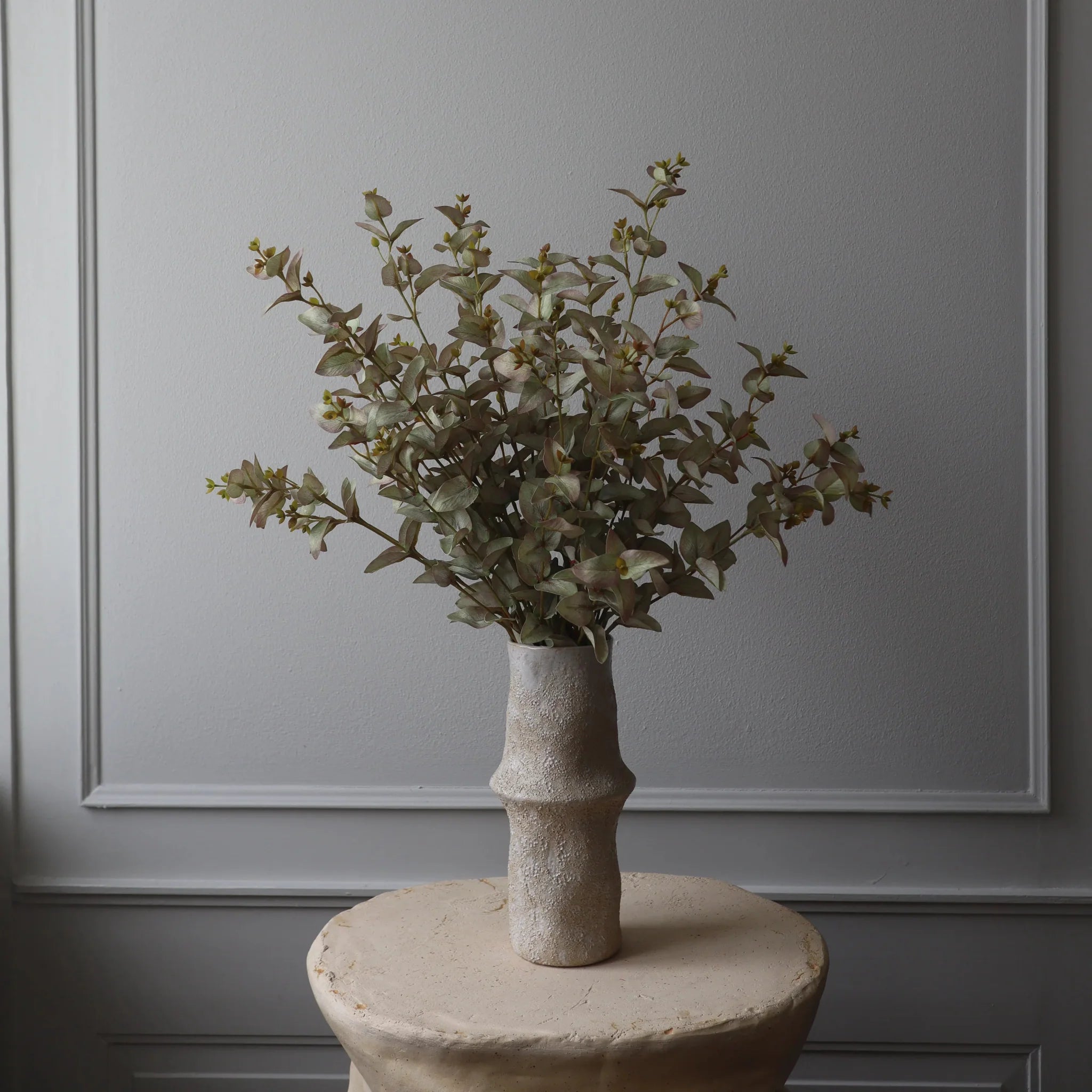 Discover the entire selection of everlasting flowers from Botané