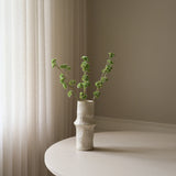 Light Green Succulent Stem