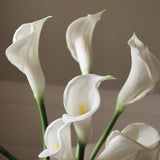 White Calla Lily Bouquet