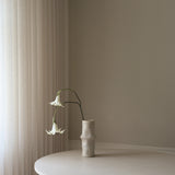 White Datura Stramonium Flower