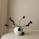 Black Calla Lily Bouquet
