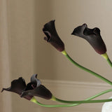 Black Calla Lily Bouquet