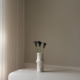 Black Calla Lily Flower