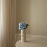 Light Blue Hydrangea Flower