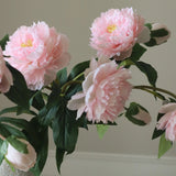 Peony Bouquet