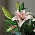img-2|0090f583