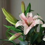 img-2|0090f583