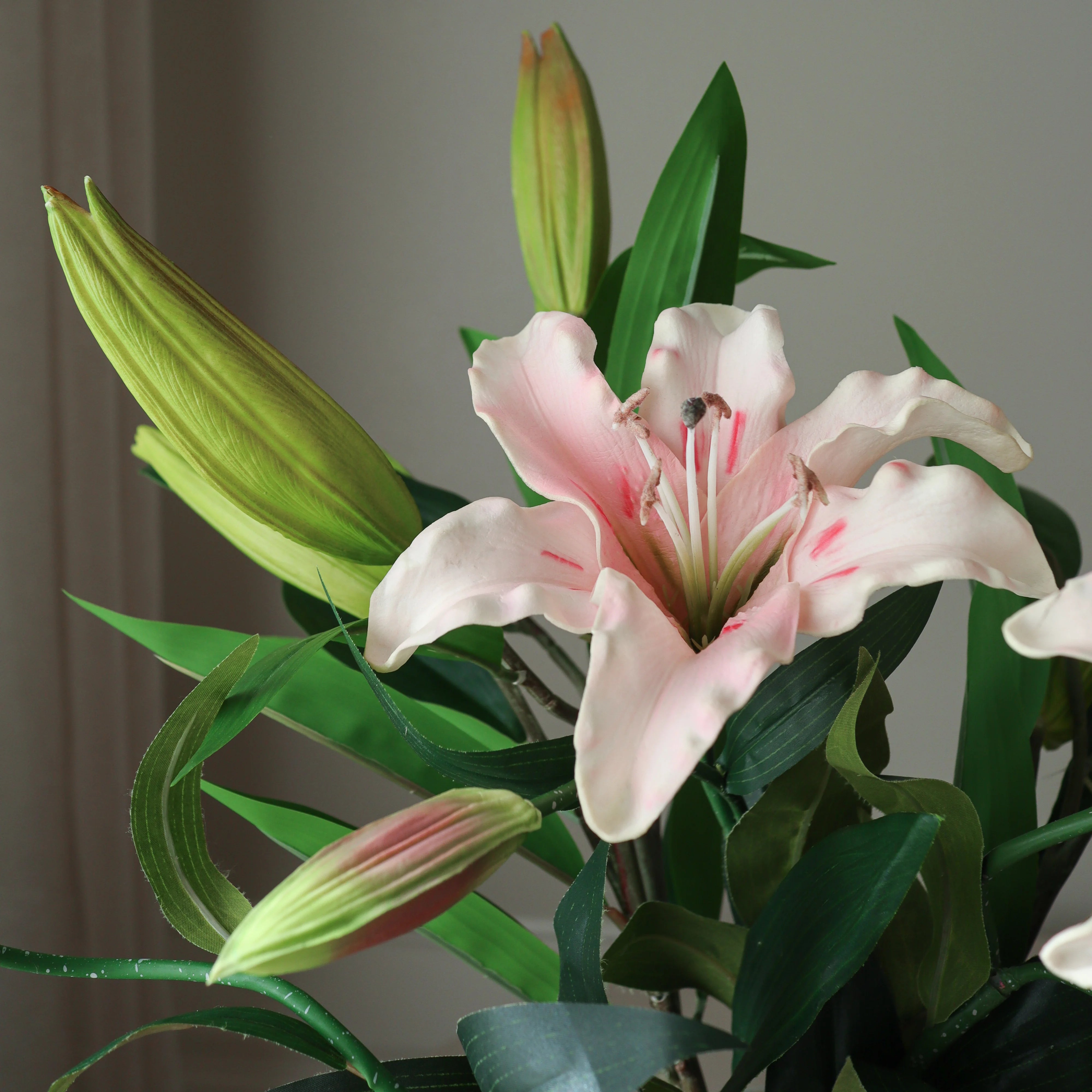 img-2|0090f583