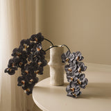 Black Large Orchid Flower