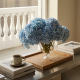 Light Blue Hydrangea Flower