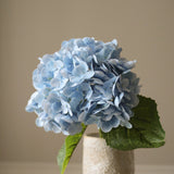 Light Blue Hydrangea Flower