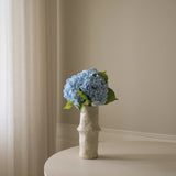 Light Blue Hydrangea Flower