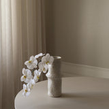 White Large Orchid Flower