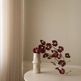 Purple Grand Orchid Flower