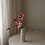 img-2|ae31c16b