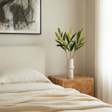 Unopened Lily Flower Bud