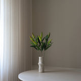 Unopened Lily Flower Bud