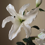 White Majestic Lily Flower
