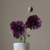 Purple Three-Headed Poppy Flower