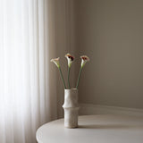 Purple Calla Lily Flower