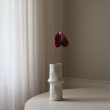 Red Anthurium Flower